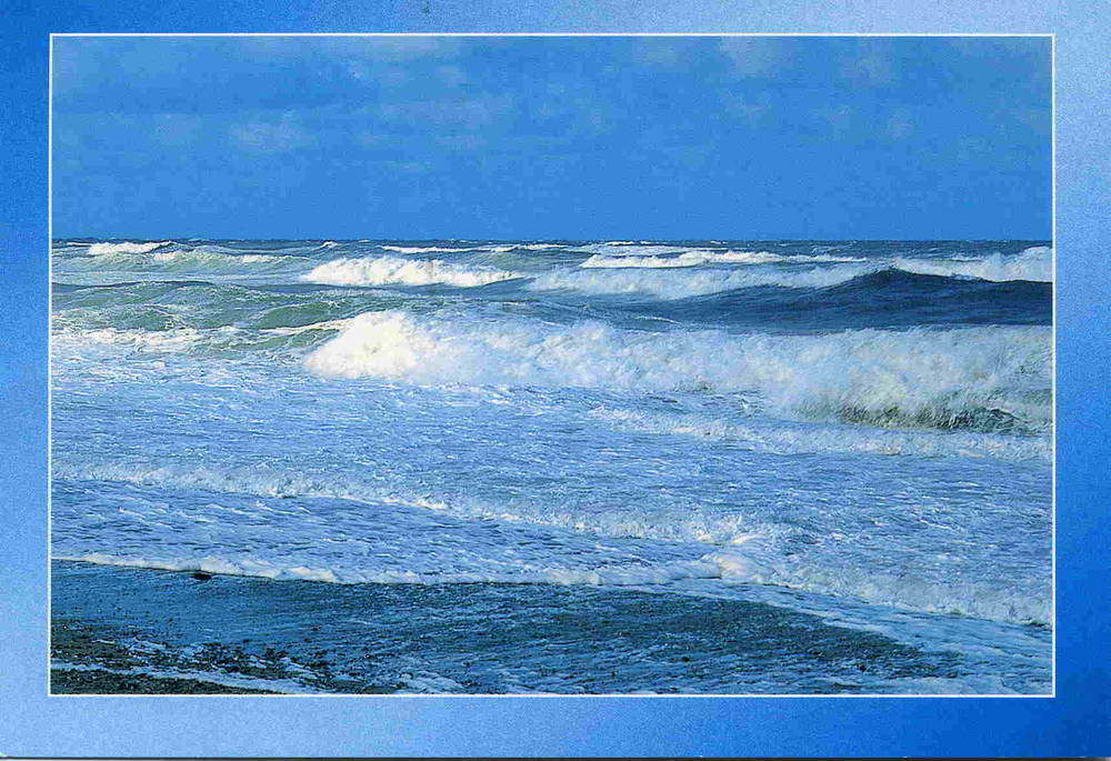 Vesterhavet Mikkelsen 2002