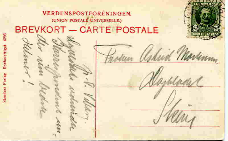 Viborg Ruinerne ved Hald Stender 1907