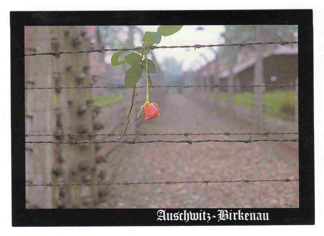Auschwitz-Birkenau Verdens største kirkegård