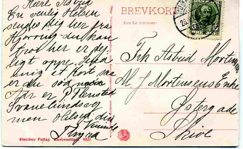 Hjørring Parti fra svanelunden Stender 1908