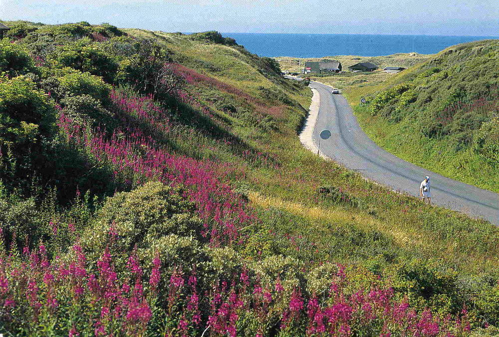 Tornby strand Wadmann 1994