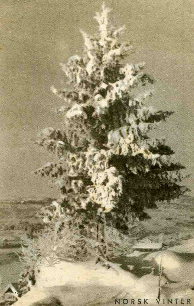 Norsk vinter st Hel 1914