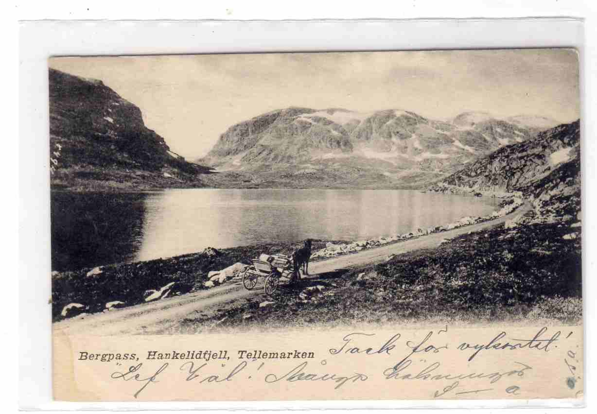 Bergpass Haukelidfjell  8494