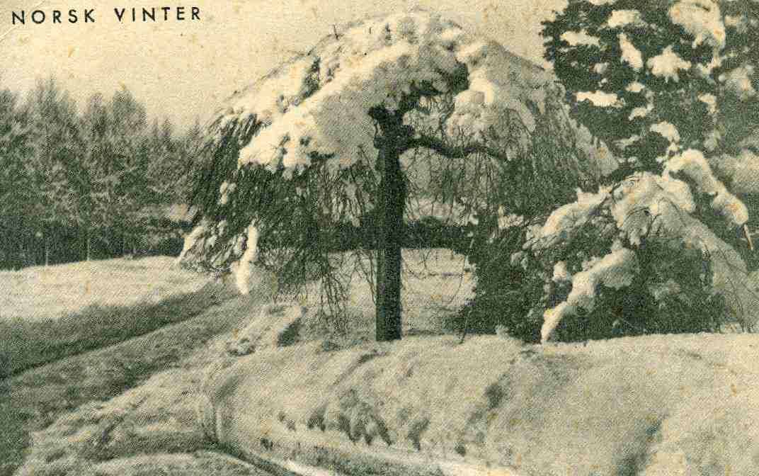 Norsk vinter  Norsk arbeid nr 30