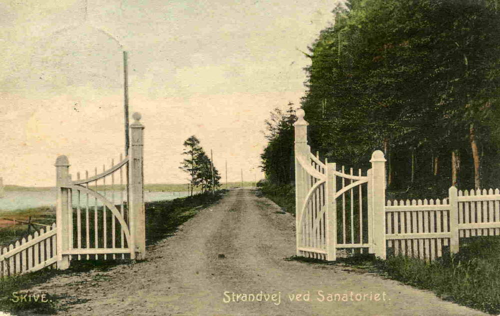 Skive Strandvej ved sanatoriet 1908 Stender