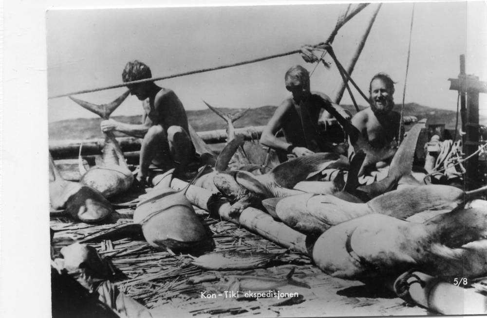 Kon-tiki ekspedisjonen KH 5/8