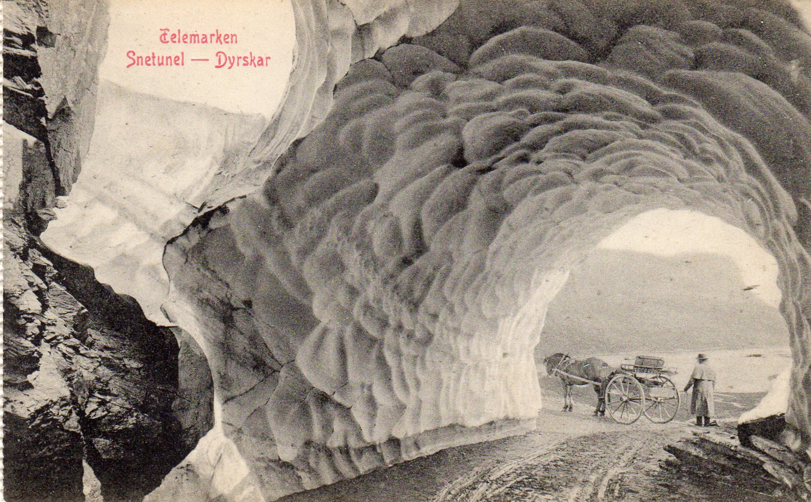 Dyrskar Telemark Mittet