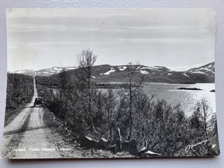Fjellet Telemark- Hovden, 14/860, Normann