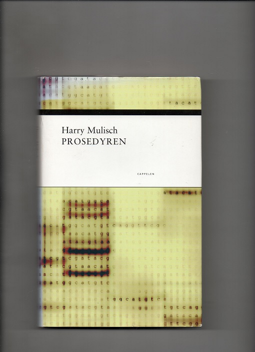 Prosedyren, Harry Mulisch, Cappelen 2001 Smussb. Pen M39   