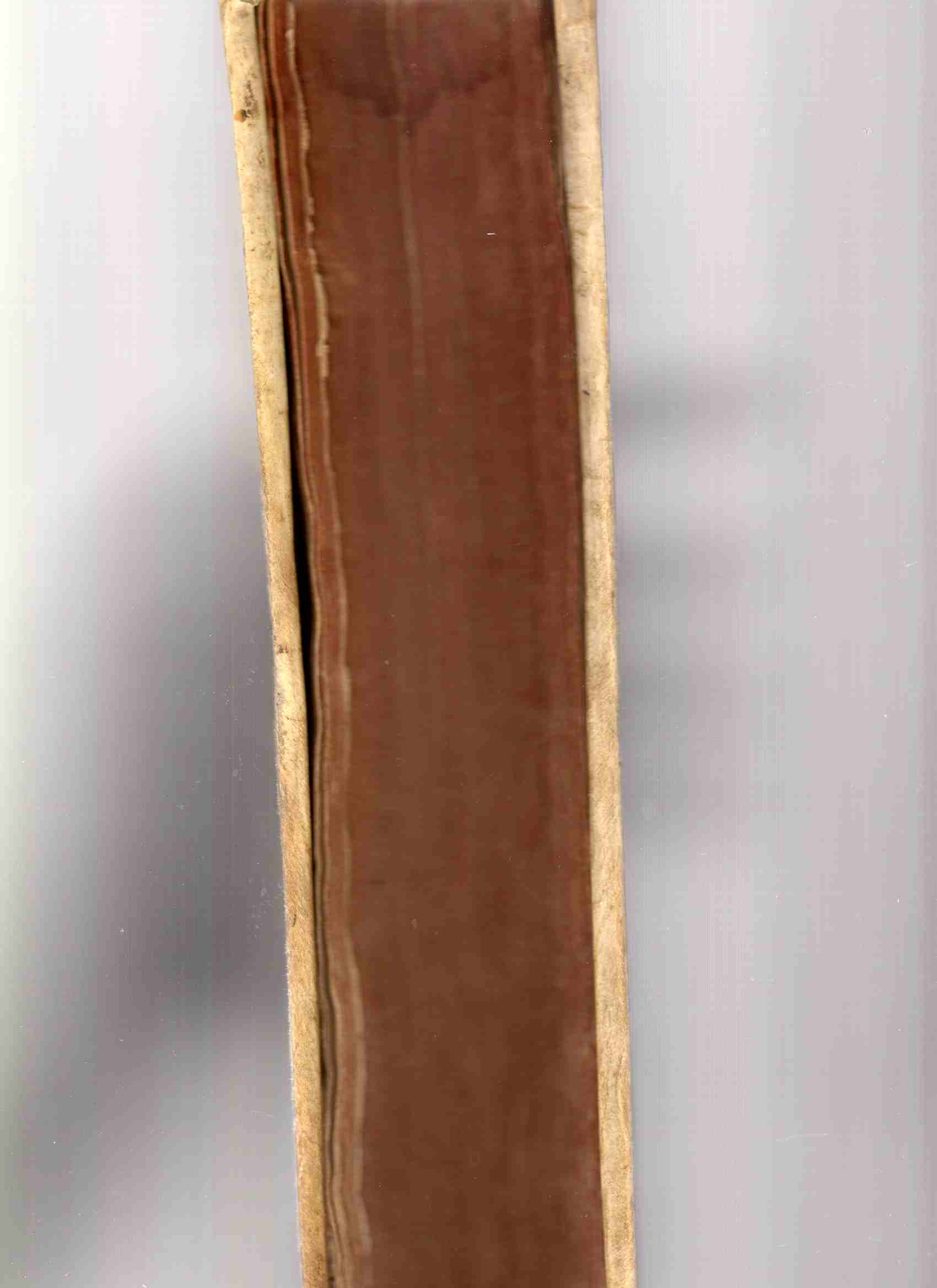 Biblia latina sacra 1573 Helpergamentbind(originalt)Sebastiani Castalionis avrevet hjørne av forsatsblad Fast og fin i bindet Illustrasjoner i teksten Tittel håndskrevet på ryggen Tresidet rødt snitt 34.5*24.5 cm Folio B