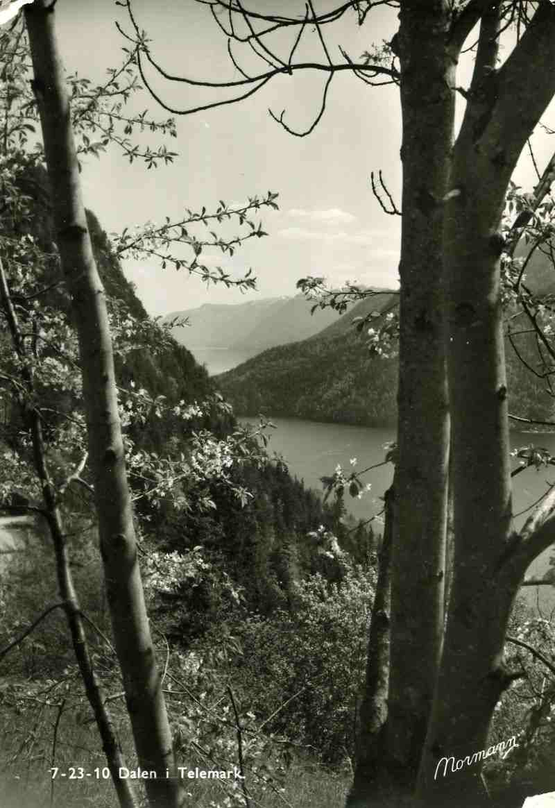 Dalen No; 7 23 10 st Dalen i Telemark 1957