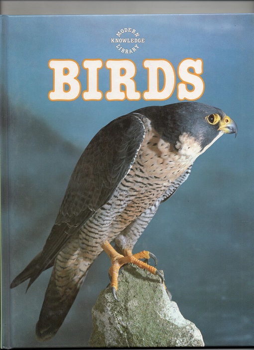 Birds - Neil Ardley - Galley Press 1981 (1974) pen O2 