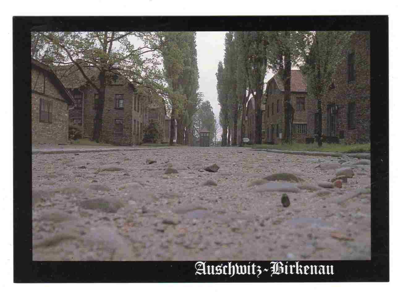 Auschwitz-Birkenau Kolbes martyr death Oppstillingsplassen