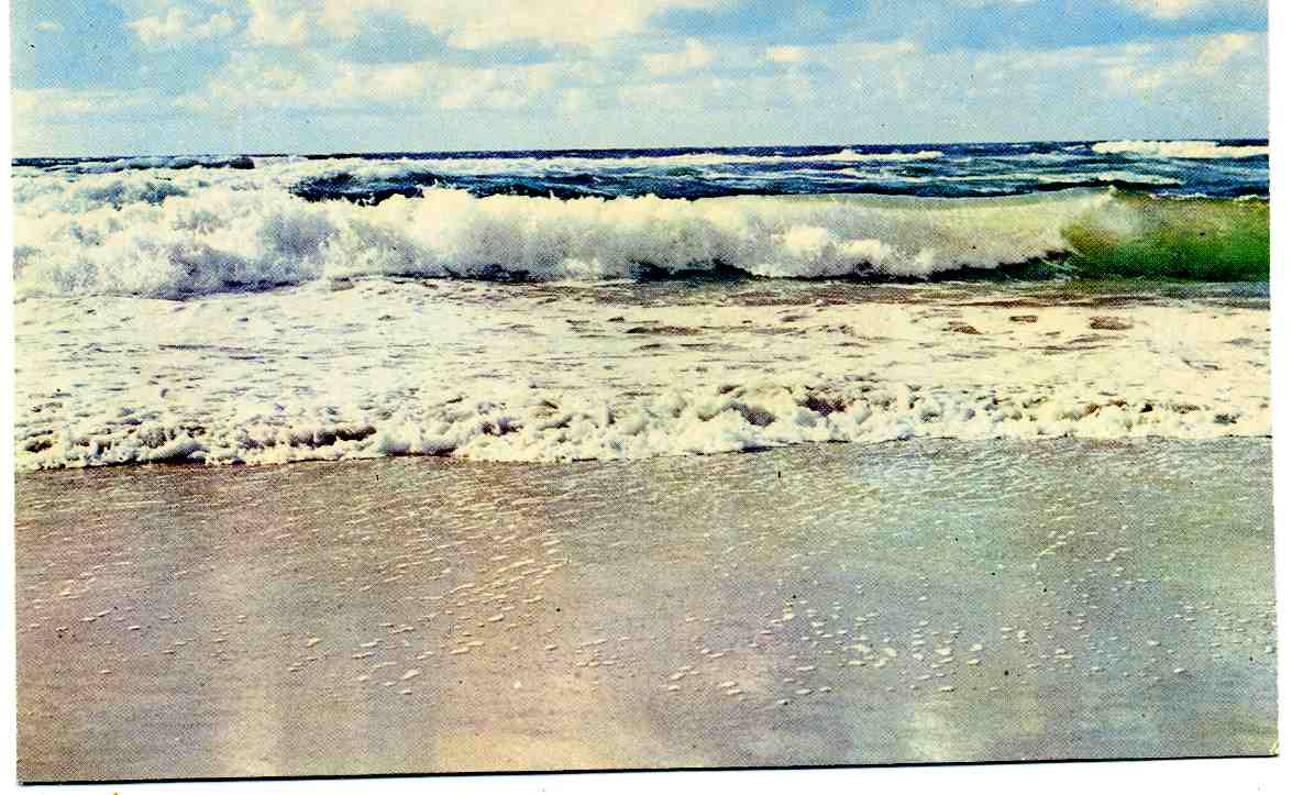 Vesterhavet  Stender 5614