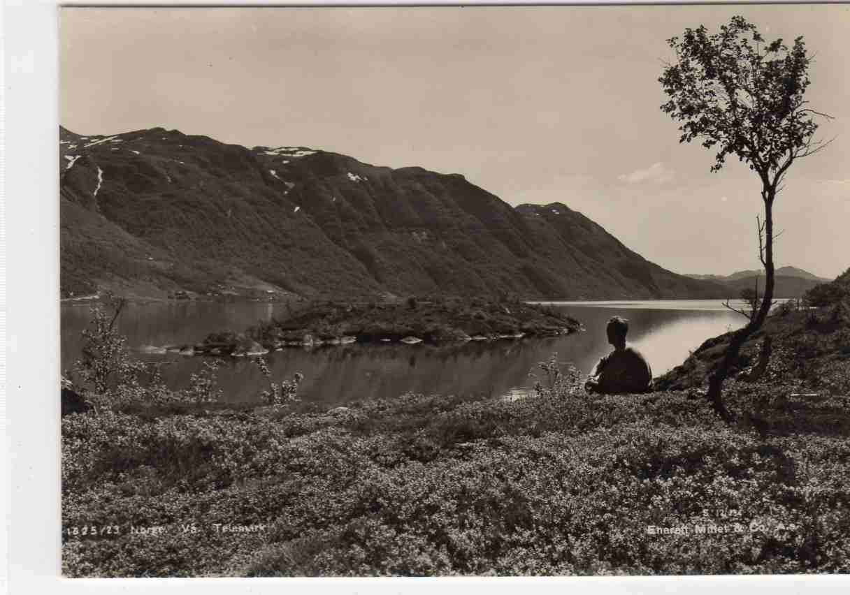 Vå Telemark Mi;S12/194