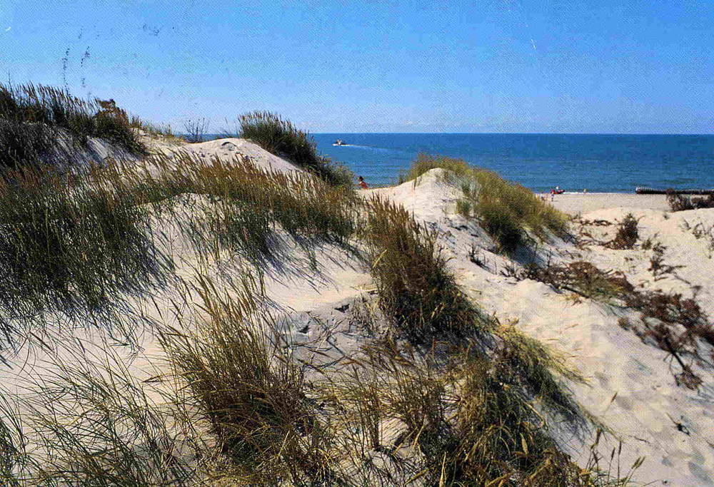 Vesterhavet E Mikkelsen 1994