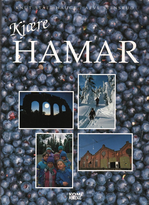 Kjære Hamar, Knut Ståle Hauge & Arve Stensrud, Kom forlag 1992 Smussbind B O2