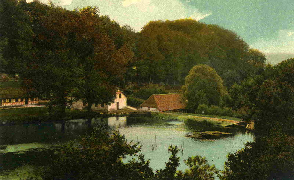 Vejle Møllholm Warburg 1907