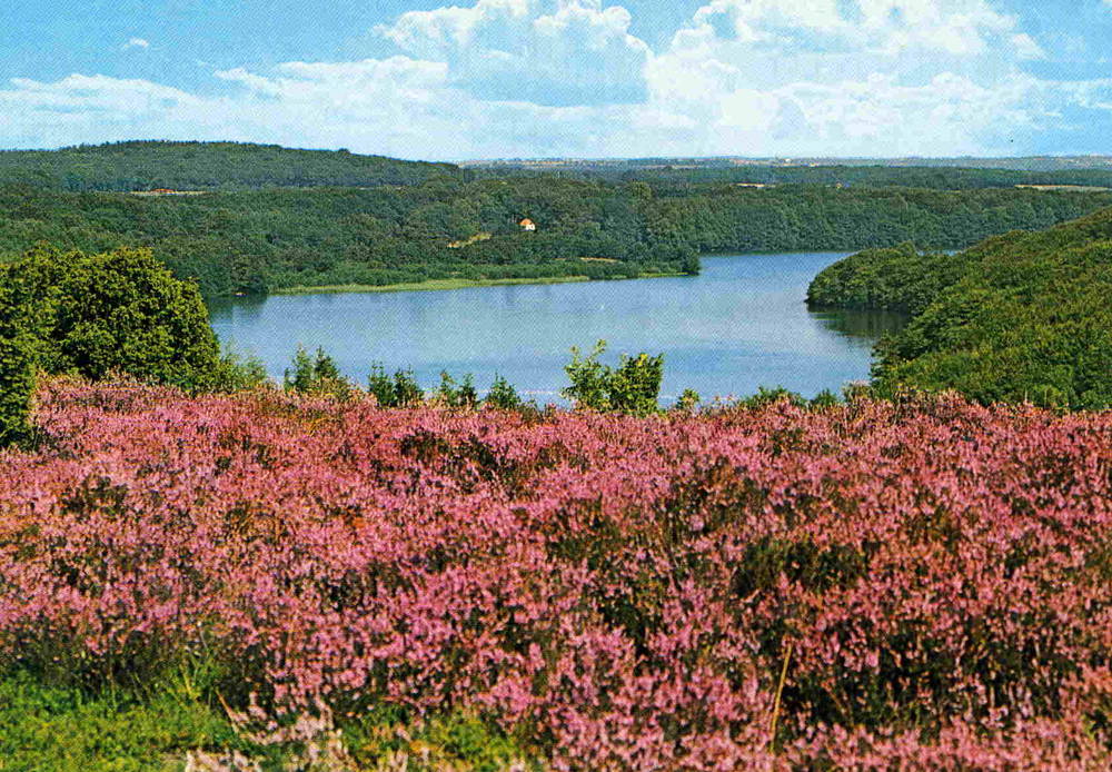 Viborg.Dollerup bakker og Hold sø Stender 1980