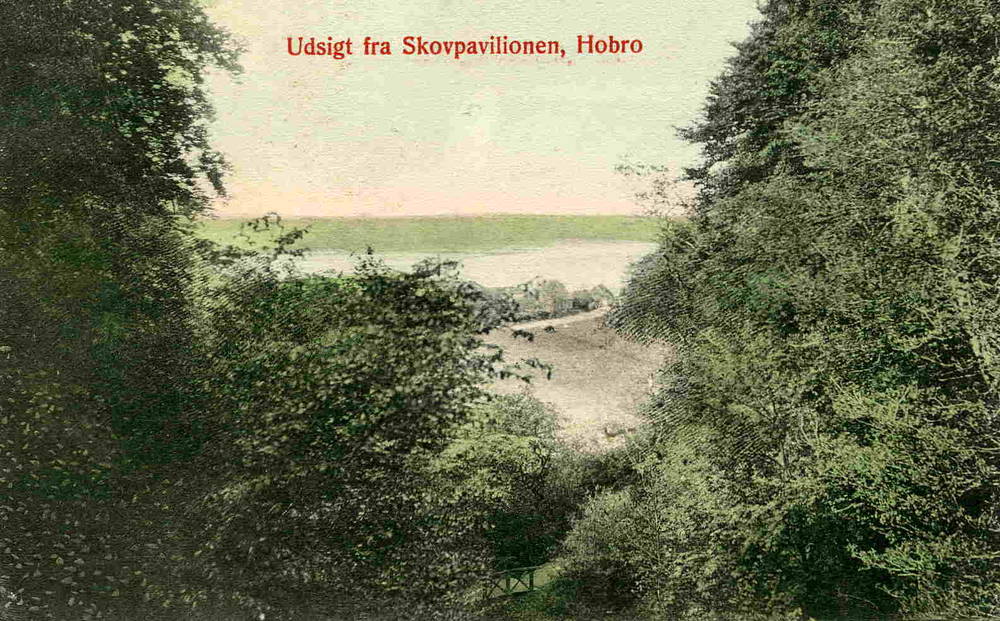 Udsigt fra skovpaviljongen,Hobro L Christensen