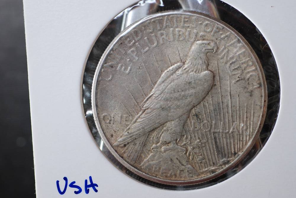 1 dollar USA kv1/1+ 1923s