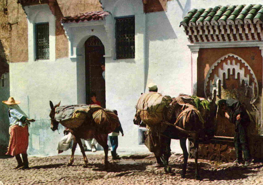 Marokko 1984