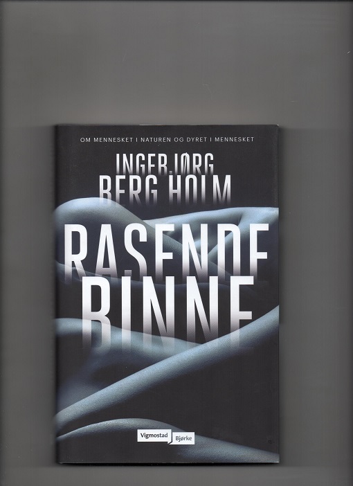 Rasende binne, Ingebjørg Berg Holm, Vigmostad & Bjørke 2021 Smussbind Pen bok O2 
