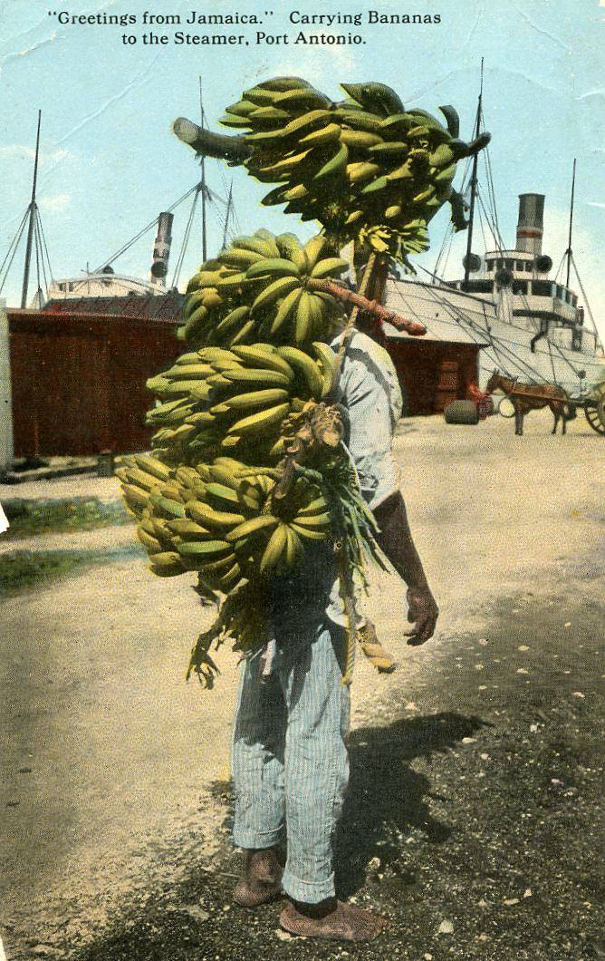 Greetings from Jamaica  Port Antonio 1914?