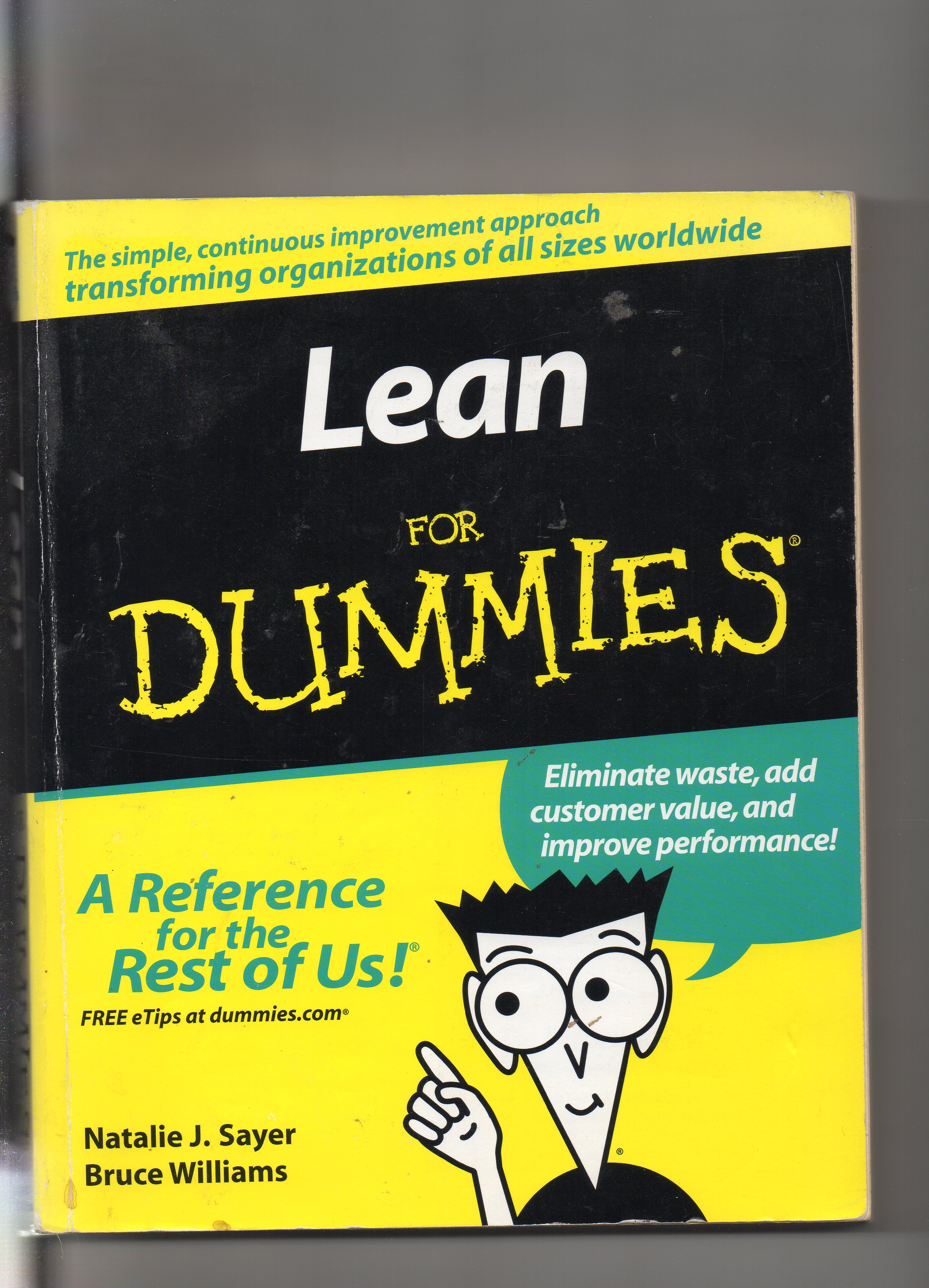 Lean for dummies Sayer /Williams Wiley 2007 B P