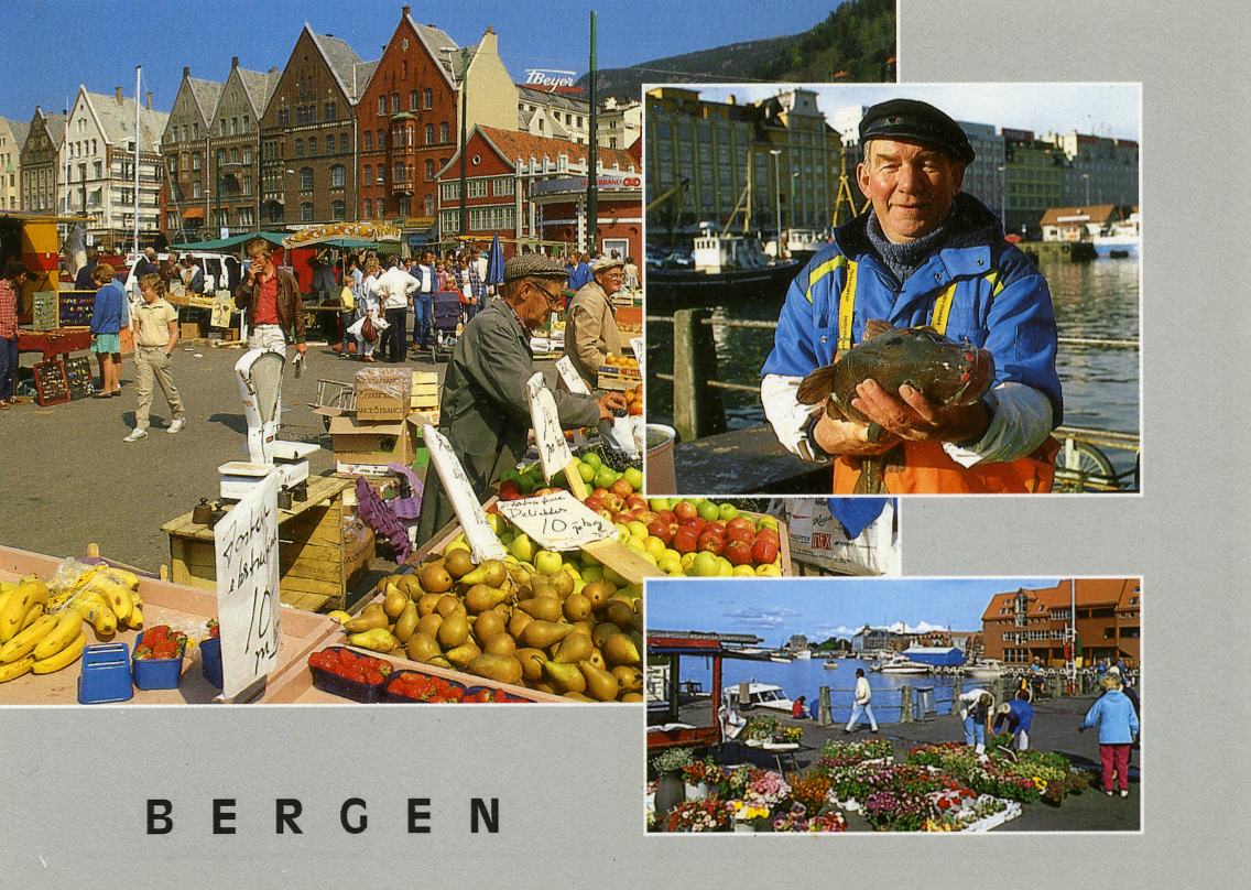 Bergen M:2300/290