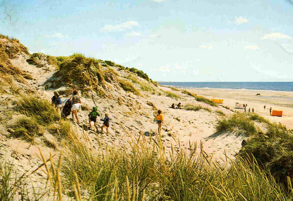 Vesterhavet 1978 FM engros