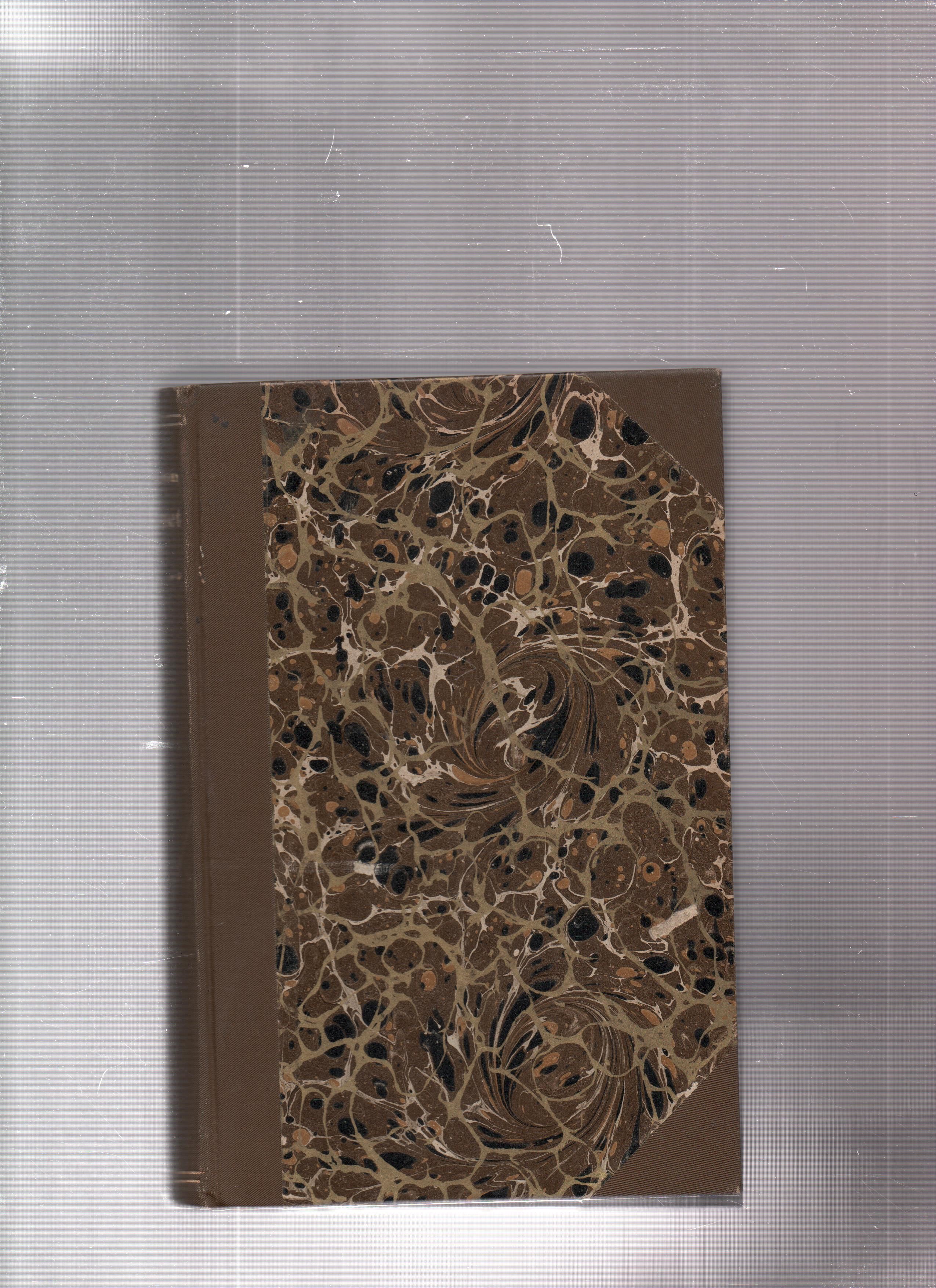 Daglannet, Bjørnstjerne Bjørnson, Gyldendal 1904 B N     