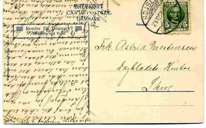 Vejle Møllholm Warburg 1907