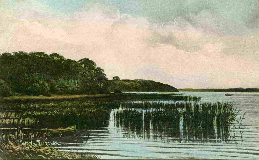 Ved Furesøen Stender