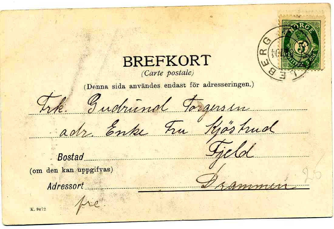 Stalheimsjøen Nerodal Norge K 9472 st Galgeberg 1904