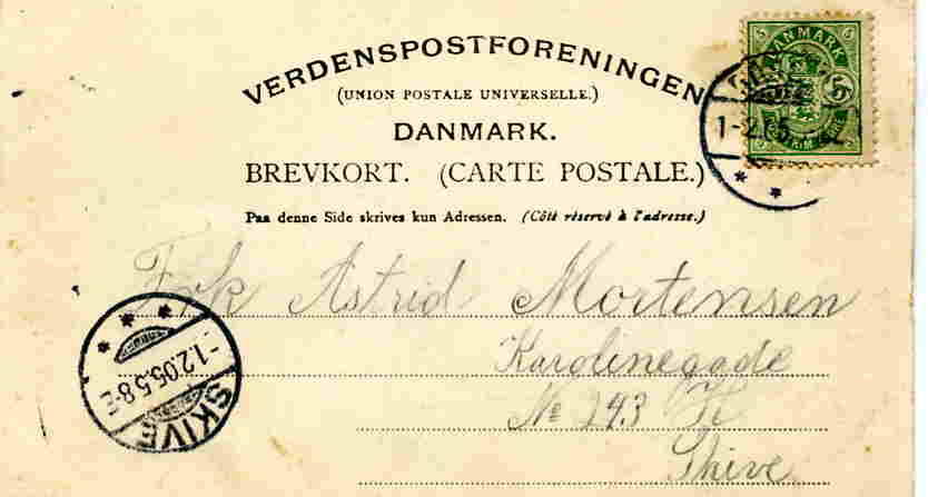 Parti fra Roslev 1905