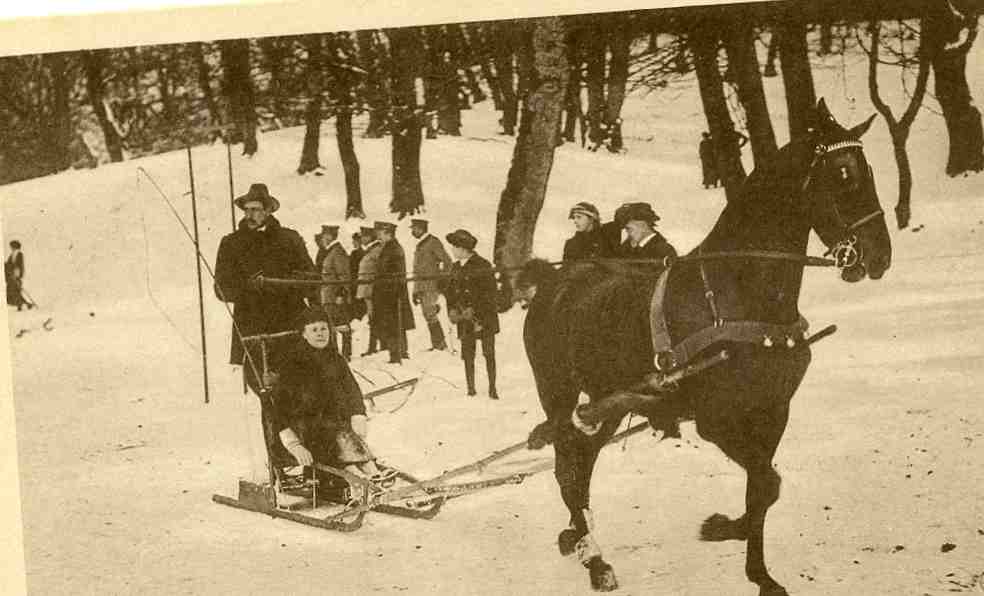 Kongen kjører sparkstøtting i Dyrehaven Damgaard