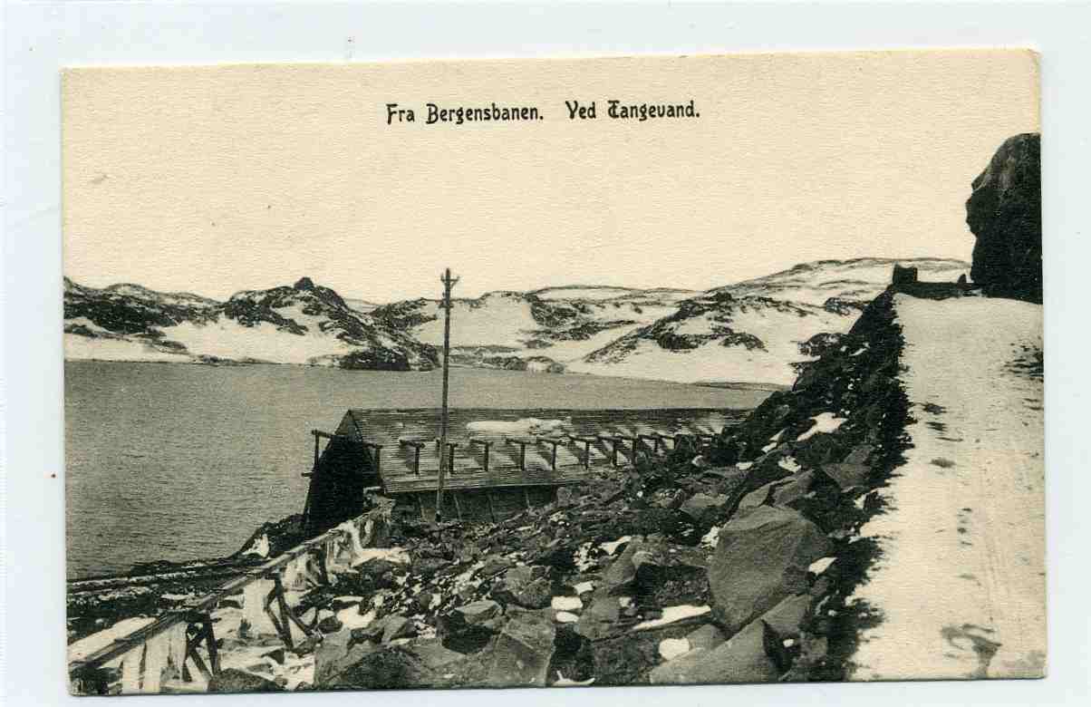 Bergensbanen Ved Tangevand NK 1374  1917