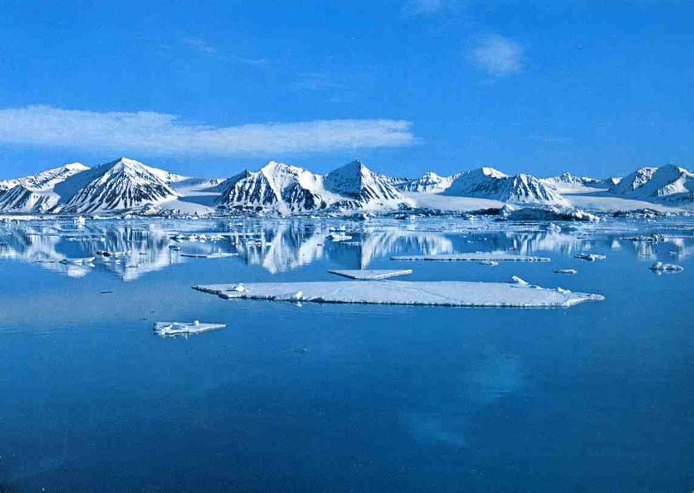 Svalbard Brøggerhalvøya Angar A; F 7517 5