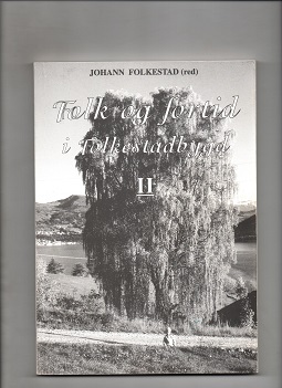 Folk og fortid i Folkestadbygd Bind 2, Redaktør Johann Folkestad, Egset trykk 1998 B