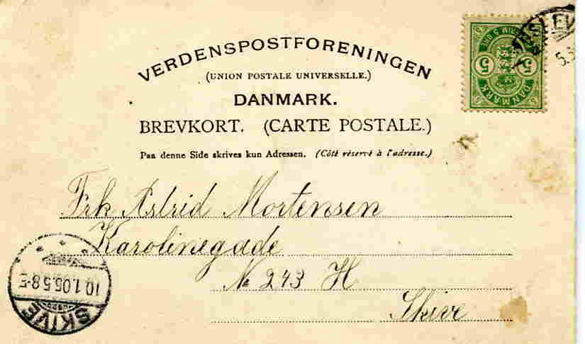 Parti fra Roslev st. 1905