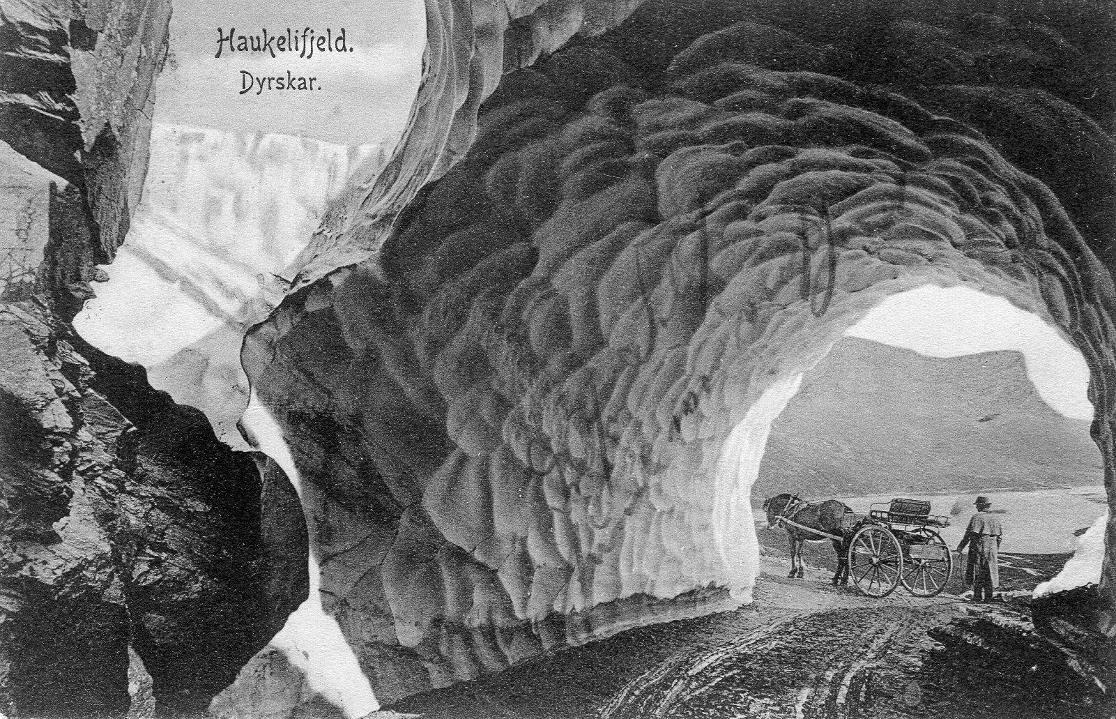 Dyrskar Haukelifjeld Lund 1906 nr 3