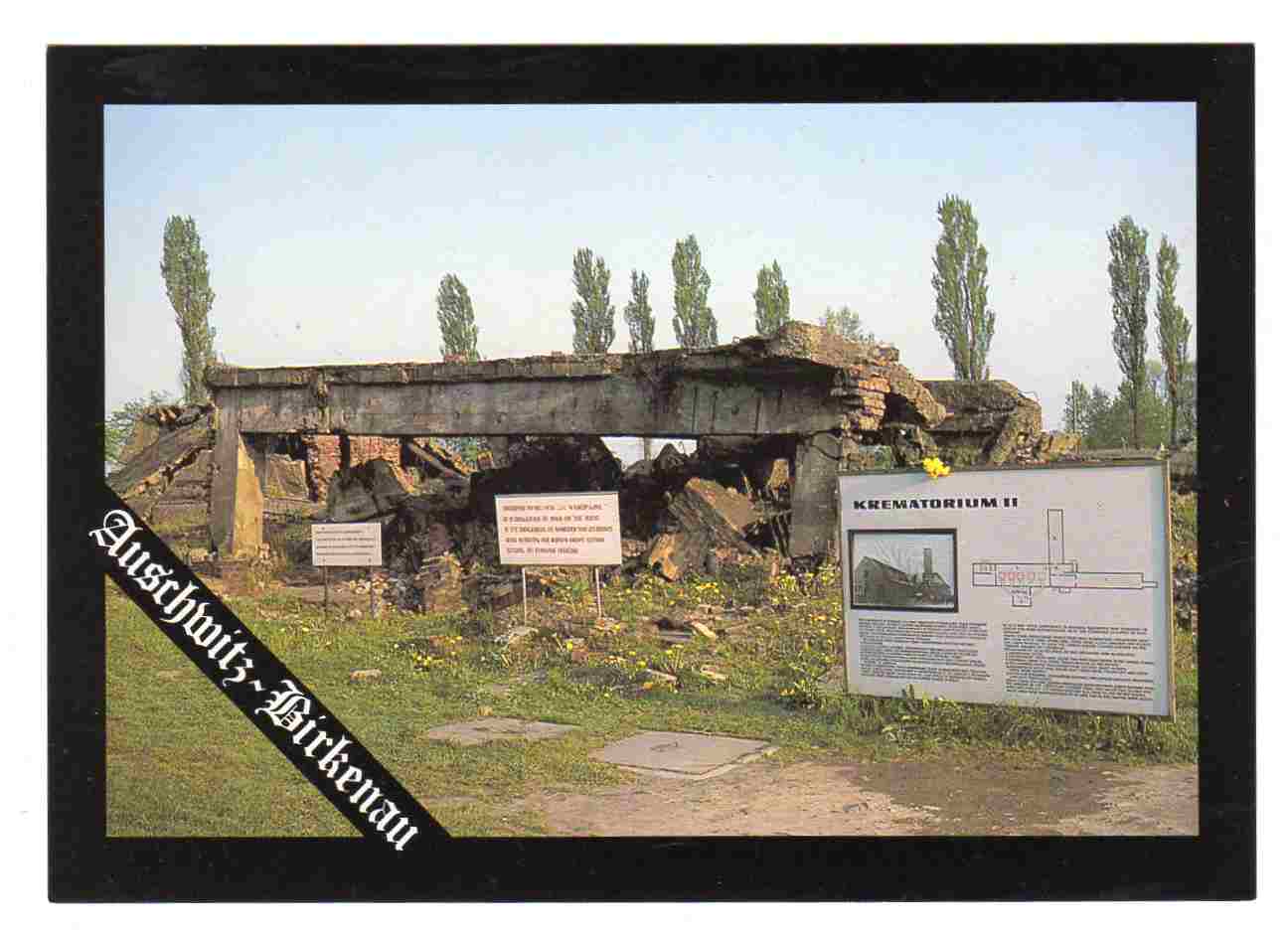 Auschwitz-Birkenau Crematorium II