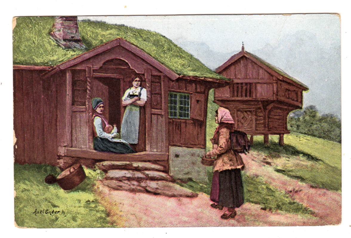 Ender Hallingdal Abel 818