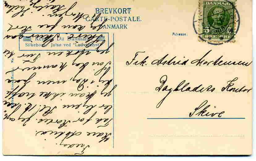 Silkeborg Julsø ved "Ludvigskyst".Warburg