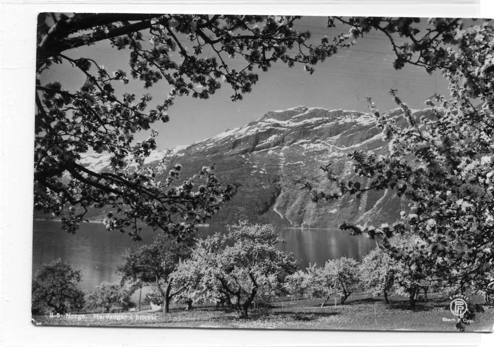 Hardanger i blomst Eberh PPI  8-5 st Jessheim 1948