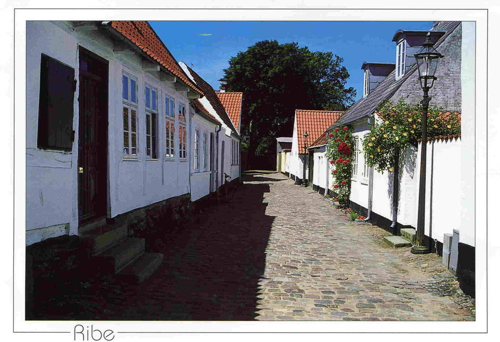 Ribe Neerup 1998
