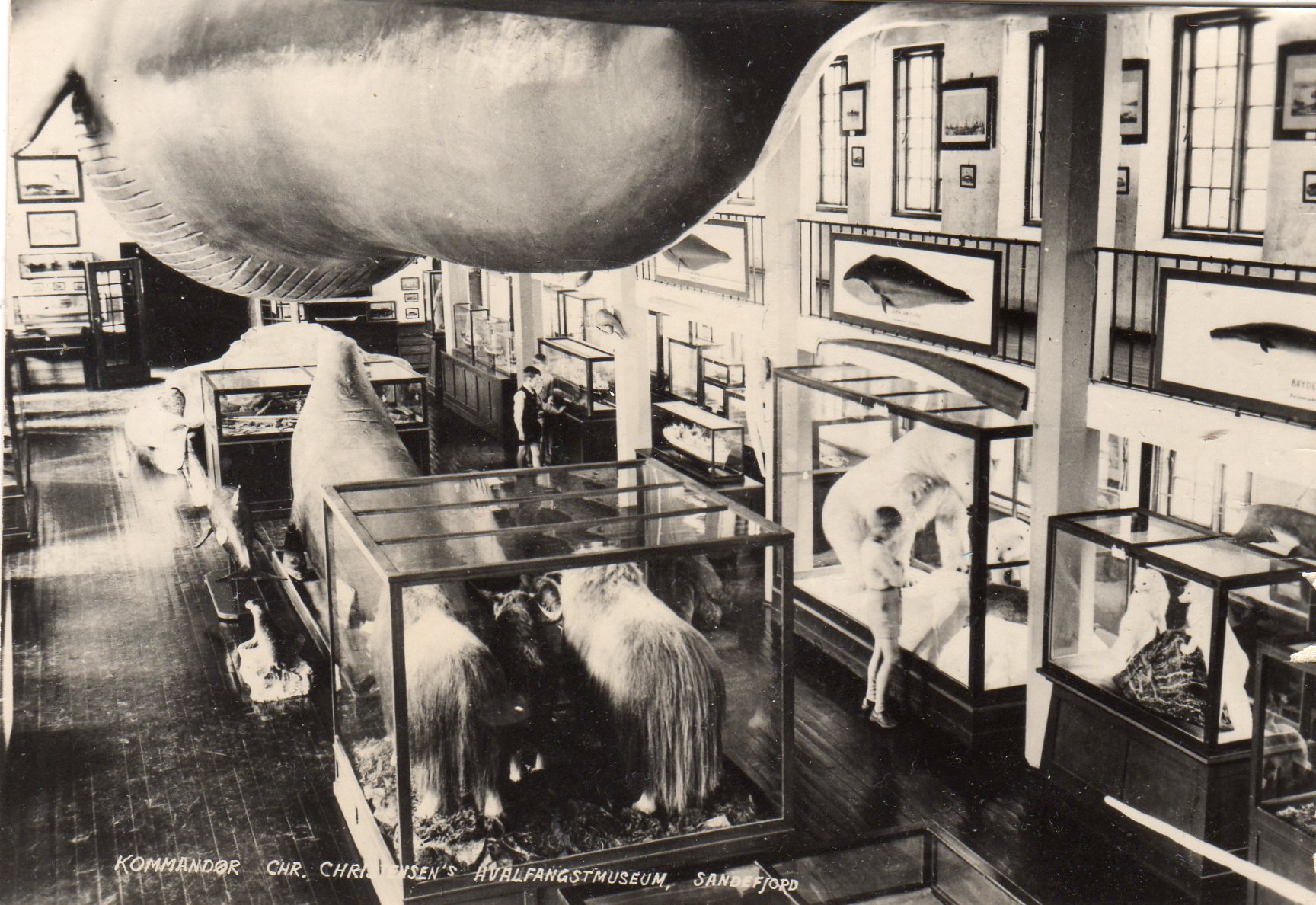 Hvalfangstmuseum Sandefjord  KK Bergen
