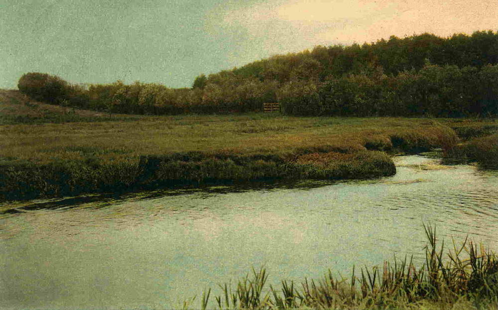 Parti fra Varde Aa Warburg