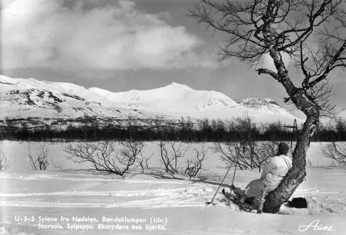 Sylene fra Nedalen,Bændaklumpen,Storsola,Sylpappa,Ekorrdøra bak bjørka A; U 5 5 st tydal 1966